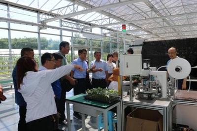 技术赋能特色产业 山东省农业技术推广中心助力曲堤黄瓜菜农增收