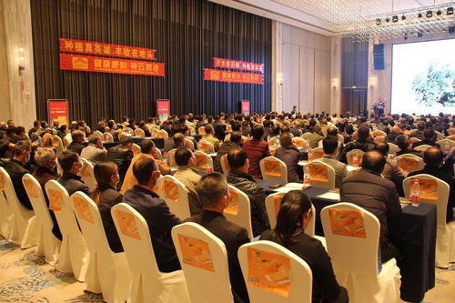 祥云杯脐橙英雄 软件设计赋能种植真英雄，技术培训提升品牌影响力