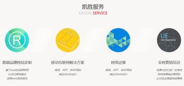 凯胜科技 一站式数字化解决方案，赋能企业全链路增长