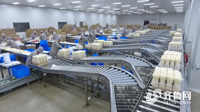 2019年山东农业科技服务（扶贫）月启动仪式在邹城举行，开启技术推广新篇章